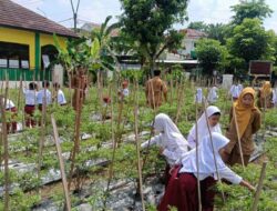 BPP Pebayuran Kenalkan Dunia Pertanian kepada Siswa SD Lewat Edufarming