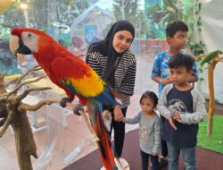 Bogor Bird Zoo Akan Hadir di Pakansari, Ikon Baru Wisata Konservasi dan Edukasi