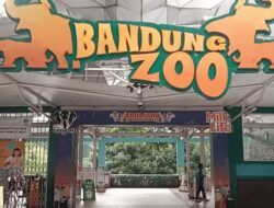 Bandung Zoo Dibuka Terbatas, Pelajar Bisa Berkunjung Gratis