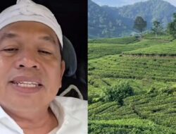 Dedi Mulyadi Akan Tanami Kembali Perkebunan Teh di Pangalengan