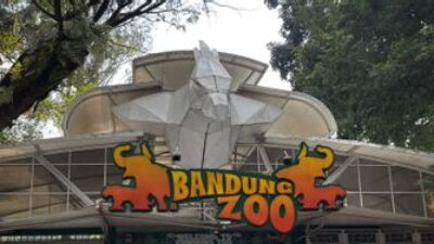 MENYEDIHKAN! Keuangan Yayasan Menipis, Karyawan Bandung Zoo Patungan Beli Pakan Satwa