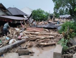 Kepala BNPB: 174 Meninggal Dunia, 79 Hilang dan 12 Luka-Luka Atas Bencana Hidrometeorologi di Aceh, Sumut serta Sumbar 