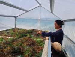 Inovasi ITB: Solar Dryer Dome Alat Pengering Tingkatkan Hasil Pascapanen Rumput Laut di Sumba Tengah