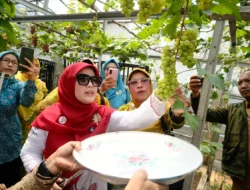 Melihat ‘Wajah Baru’ Pertanian Kota Depok