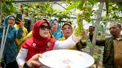 Melihat ‘Wajah Baru’ Pertanian Kota Depok
