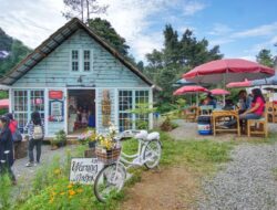 Menikmati Nuansa Vintage dan Alam Hijau di Warkop Modjok Bandung