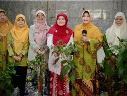 Ketahanan Pangan Dimulai dari Dapur Rumah: Ngider Cing Ikah