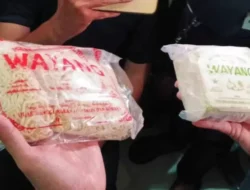 Mie Berbahaya 5 Tahun Beredar di Bogor, Dicampur Tawas dan Potasium