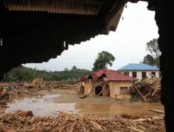 DPR Soroti Gelondongan Kayu di Bencana Banjir Sumatera 