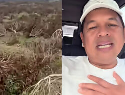Dedi Mulyadi Minta Polisi Bongkar Jaringan Kasus Perusakan Lahan Teh Pangalengan
