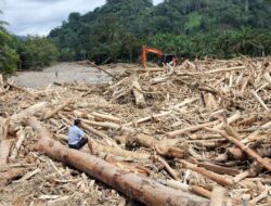 Dedi Mulyadi Singgung Kayu Gelondongan yang Terbawa Banjir di Sumatra: Tidak Ada Pohon Lakukan Bunuh Diri Massal