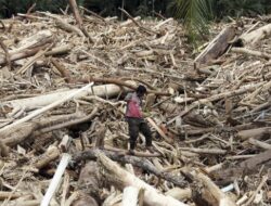 ICW: Korupsi Bencana pada 2024 Rp14,2 M, Bansos ke Sumatera Harus Diawasi