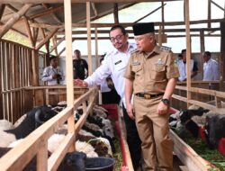 Baznas RI Hadir di Kuningan, Bangun Program Balai Ternak Zakat di kaki Gunung Ciremai