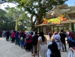 Animo Berkunjung Masyarakat Tinggi, Bandung Zoo Dibuka