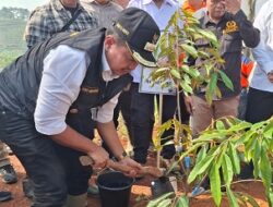 Forkopimda Melaksanakan Gerakan Penanaman Pohon 30 Ribu Serentak se-Sumedang