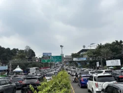Ganjil Genap Puncak Bogor Ditiadakan Selama Libur Nataru 2025-2026 