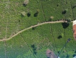 Dedi Mulyadi Kritik PTPN Soal Alih Fungsi Lahan di Pangalengan 