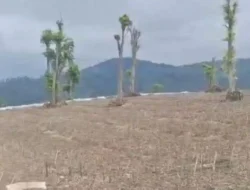 Dedi Mulyadi: Pelaku Perusakan Lahan Harus Segera Ditahan