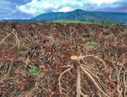 Dedi Mulyadi Ungkap Dugaan Korupsi di Balik Peralihan 160 Hektare Lahan Kebun Teh Pangalengan