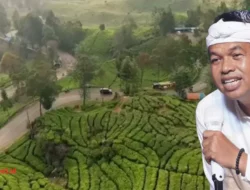 Dedi Mulyadi Larang Tebang Pohon, Penataan Tata Ruang Libatkan ATR/BPN