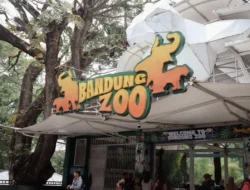 TERJERAT Akta Palsu:  Eks Petinggi Bandung Zoo Sri Devi Jadi Tersangka   