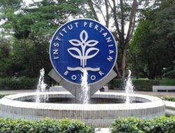 Dari Kampus ke Desa, IPB University Tutup 2025 dengan Prestasi