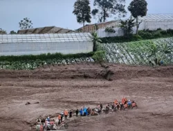 Pasca-longsor Cisarua, Mentan Dorong Petani Ubah Pola Tanam 