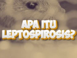 Jangan Anggap Sepele! Kenali Gejala Leptospirosis yang Perlu Kamu Waspadai Kala Musim Hujan