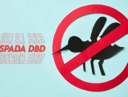 Waspada DBD Saat Musim Hujan, Tingkatkan Kewaspadaan dengan 3M Plus