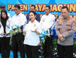 Kabupaten Bekasi Hasilkan 150 Ton Jagung pada Panen Raya Serentak bersama Kapolri