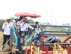 Panen Raya Jagung di Kabupaten Bekasi Dorong Percepatan Swasembada Pangan Nasional