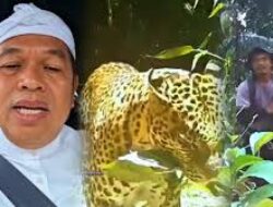 Dedi Mulyadi Geram Pemburu Tembak Macan Tutul