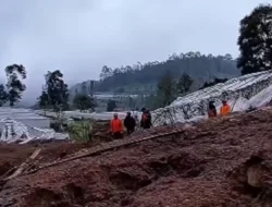 Dedi Mulyadi Bakal Ubah Lahan di Cisarua KBB yang Tertimbun Jadi Hutan