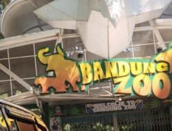 Kemenhut Gandeng 14 Vendor, Ambil Alih Pakan Satwa Bandung Zoo