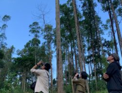 Dukung Forest City, ITB Siap Kelola 129 Hektare Rimba Kota di IKN