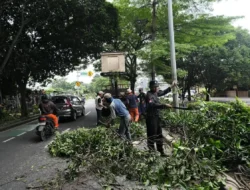 Wujudkan ‘Depok Menyala’, Tim Maung ASRI Perbaiki PJU dan Pangkas Pohon di Jalan Juanda