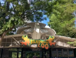 Pengelolaan Bandung Zoo Dibuka untuk Lembaga Profesional 