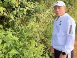 Saat Olahraga Jalan Kaki, Bupati Dian Ajak Masyarakat Jaga Kebersihan