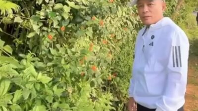 Saat Olahraga Jalan Kaki, Bupati Dian Ajak Masyarakat Jaga Kebersihan