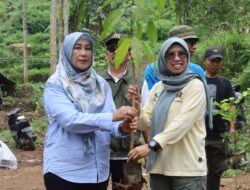 Wabup Tuti Andriani Apresiasi PWI Tanam 300 Bibit Pohon di Blok Wangun Sukamukti