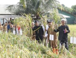 Hadiri Panen Raya, Bupati Herdiat Canangkan Ciamis sebagai Kabupaten Organik pada 2026