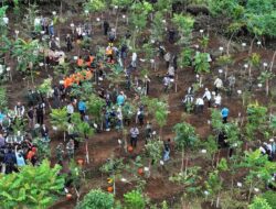 Pemkab Bogor Targetkan Penanaman Pohon Tahap Awal Capai 220 Hektar