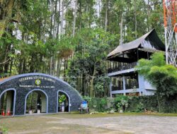 Alternatif Wisata Lebaran, Tahura Djuanda Bandung Hadirkan Alam dan Edukasi