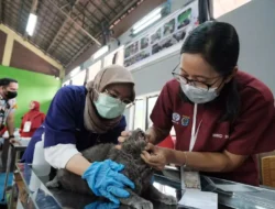 Persiapan Mudik Bareng Anabul: Jangan Lupa Cek Kesehatan dan Surat-suratnya !