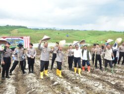 Dukung Swasembada Pangan, Polda Jabar Tanam Jagung Serentak di Sumedang