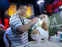 Shibuya Catwalk International Cat Show Digelar di Kota Bandung