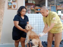 Vaksin Rabies Gratis! Warga Apresiasi Gerakan Bangsawan