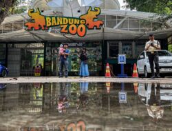 Audit Kesehatan Satwa di Bandung Zoo, Pemkot Bandung Gandeng Vantara India