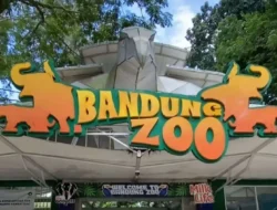 Pengurus Gembira Loka Yogyakarta Tertarik Kelola Bandung Zoo