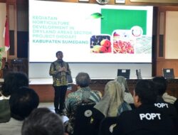 Sumedang Dapat Bantuan Pengembangan Mangga dan Cabai